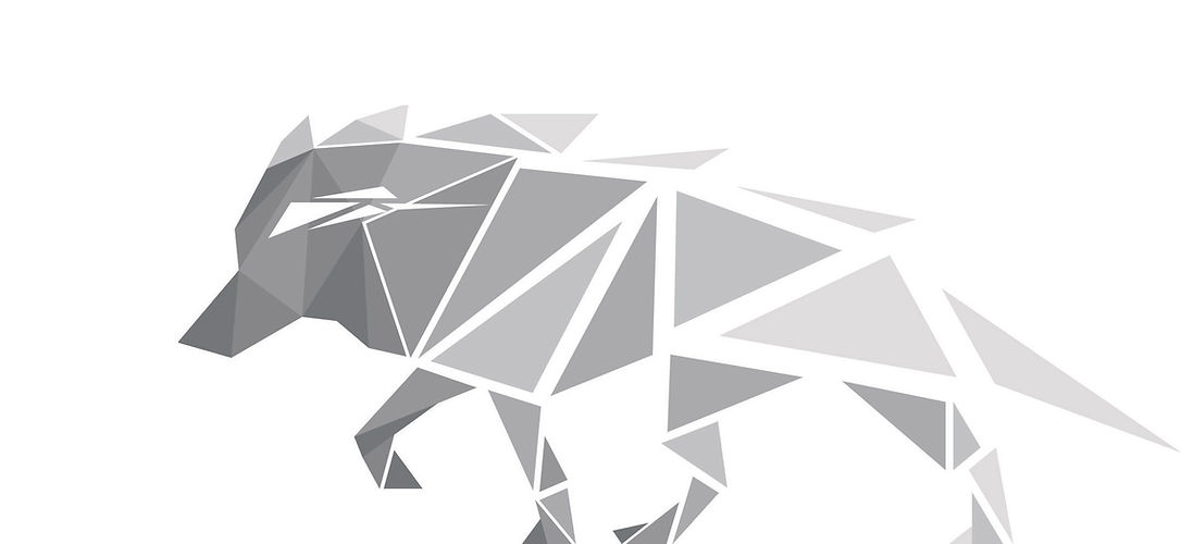 wolf 03.jpg